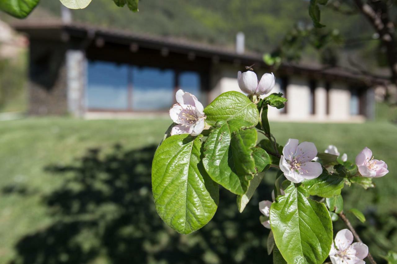 Vila Cal Sadurní Bruguera Exteriér fotografie